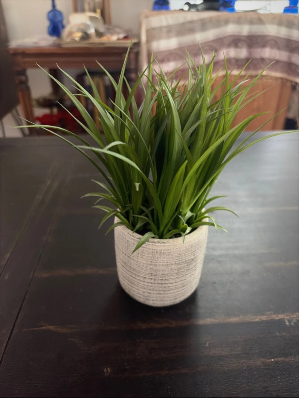 Fake Grass - Picture 2 of 5